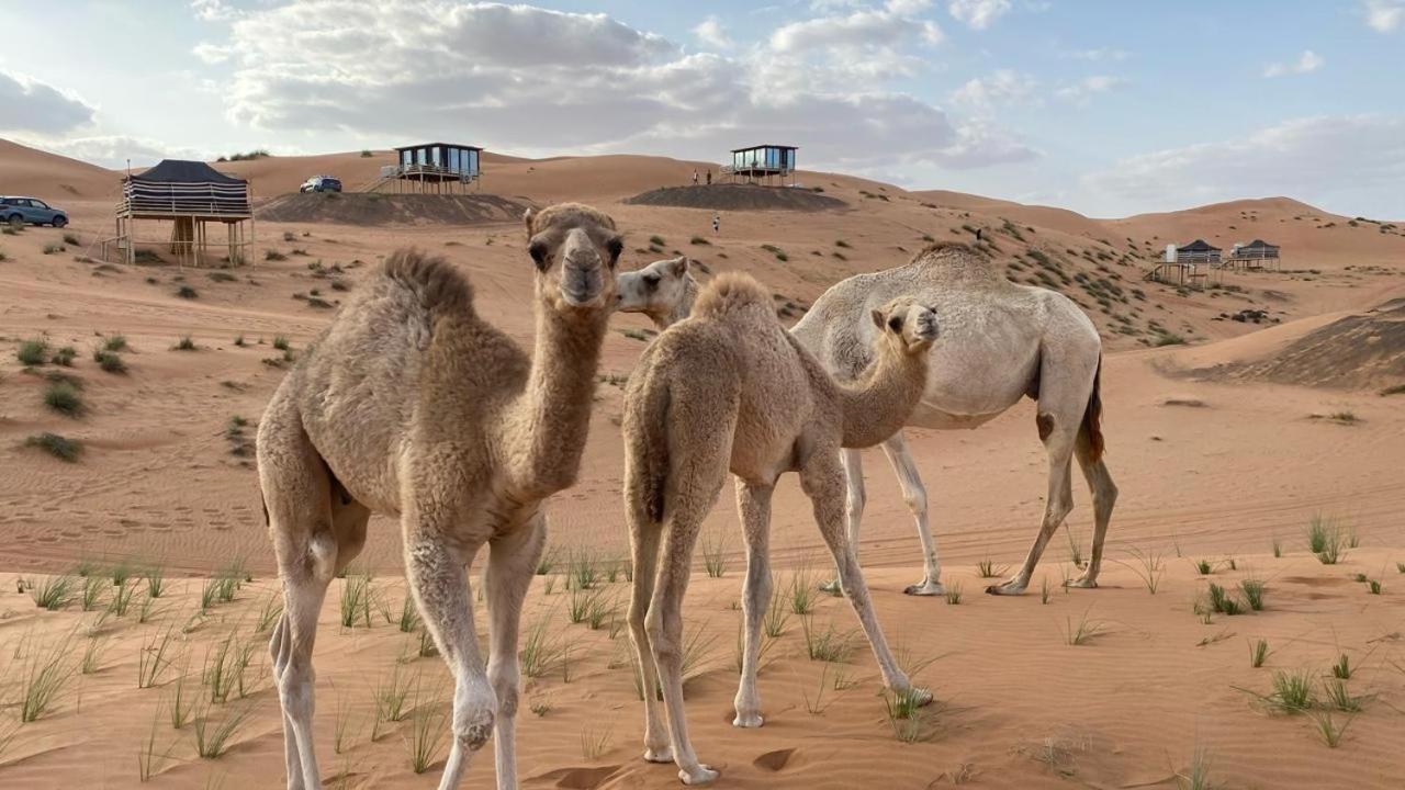Oman Desert Private Camp Shāhiq Exterior photo