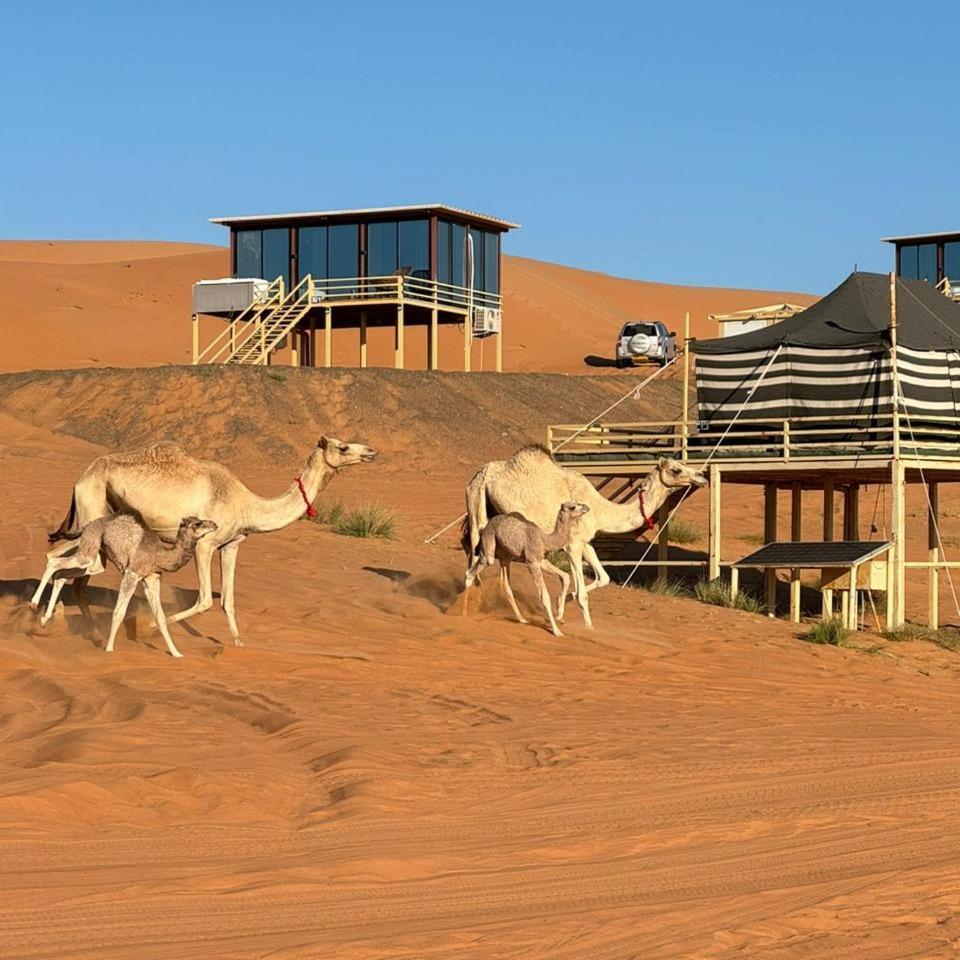 Oman Desert Private Camp Shāhiq Exterior photo